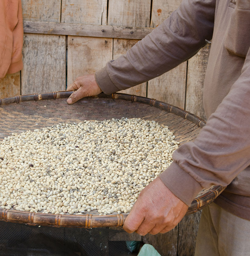 prirodna kava - metoda ekstrakcije